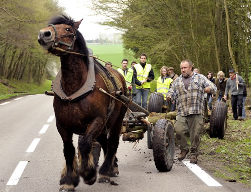 © Lycée agricole Gilbert Martin du Neubourg - DRAC Haute-Normandie