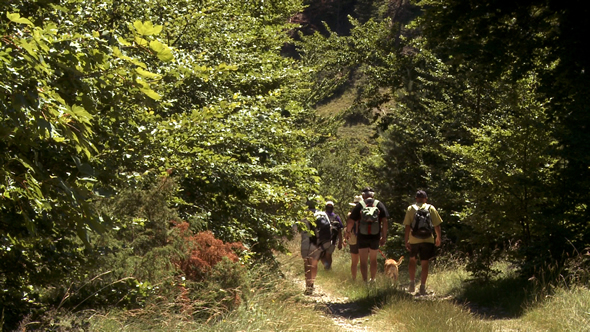 Randonneurs en forêt de Saoû © Ooh! Collective