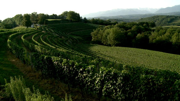 Domaine de la famille Guilhem © Ooh! Collective