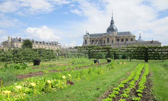 ©Ooh collective, Le potager du roi