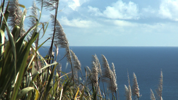 Ile de La Réunion