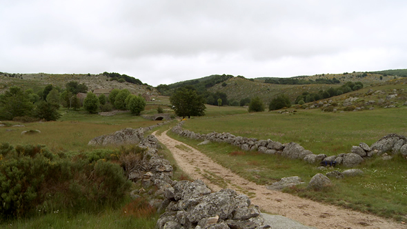 Drailles en Cévennes © Ooh! Collective