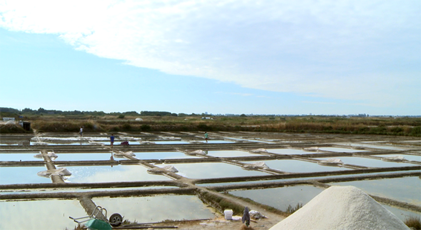 ©Ooh collective, Salines de Guérande