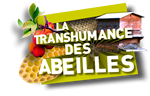 La transhumance des abeilles